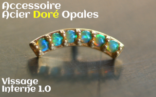 Accessoires Acier Dore Opales serties