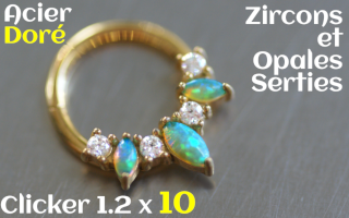 Clicker Acier Dore 1.2x10 zircon et opales serties