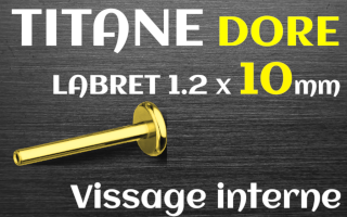 Base labret 1.2x10 Titane dore vissage interne
