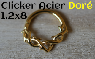 clicker Acier Dore 1.2 x 8