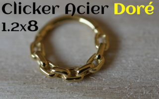 clicker Acier dore 1.2 x 8