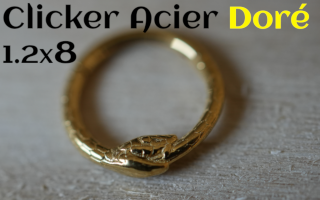 clicker Acier dore 1.2 x 8