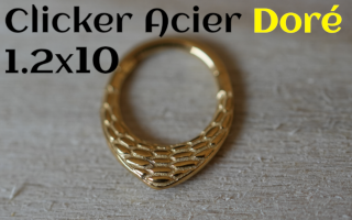 clicker Acier dore 1.2 x 10