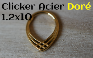 clicker Acier dore 1.2 x 10