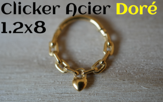 clicker Acier dore 1.2 x 8
