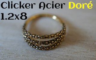 clicker Acier dore 1.2 x 8