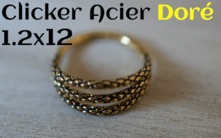 clicker Acier dore 1.2 x 12