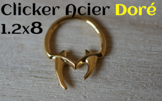 clicker Acier dore 1.2 x 8