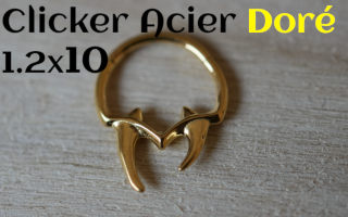 clicker Acier dore 1.2 x 10