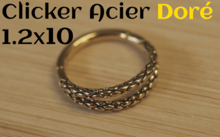 clicker Acier dore 1.2 x 10