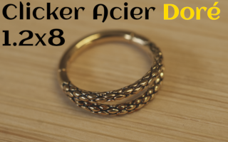 clicker Acier dore 1.2 x 8