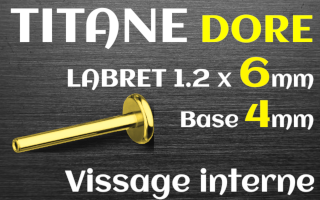 Base labret 1.2x6 Titane dore vissage - base 4 mm - vissage interne