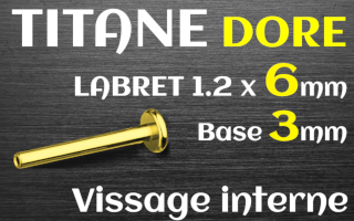 Base labret 1.2x6 Titane dore vissage - base 3 mm - vissage interne