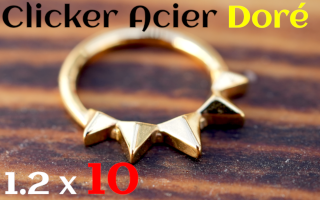 Clicker 1.2x10 Acier Dore