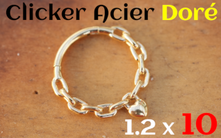 Clicker 1.2x10 Acier Dore