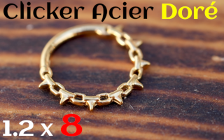 Clicker 1.2x8 Acier Dore