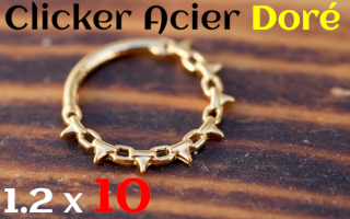 Clicker 1.2x10 Acier Dore