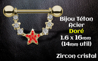 Bijou teton Acier 1.6 x 16 Acier Dore - zircon rouge