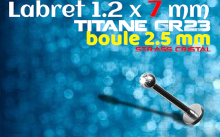 Labret Titane 1.2x7 - boule 2.5 mm - zircon cristal serti