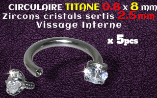 circulaire Titane 0.8x8 - zircons sertis 2.5 mm