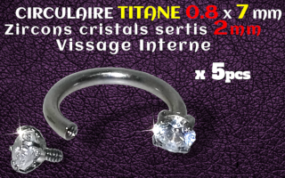 circulaire Titane 0.8x7 - zircons sertis 2 mm