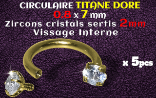 Circulaire Titane Dore 0.8x7 - strass 2 mm serti