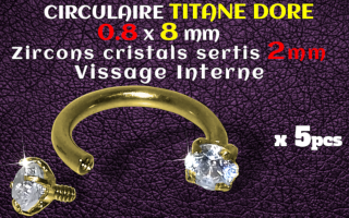 Circulaire Titane Dore 0.8x8 - strass 2 mm serti