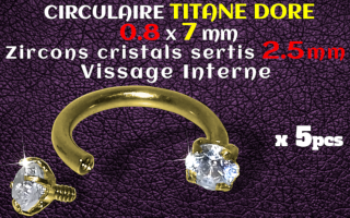 Circulaire Titane Dore 0.8x7 - strass 2.5 mm serti