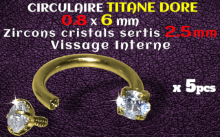 Circulaire Titane Dore 0.8x6 - strass 2.5 mm serti