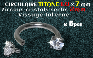circulaire Titane 1.0x7 - zircons sertis 2 mm