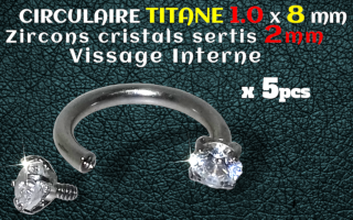 circulaire Titane 1.0x8 - zircons sertis 2 mm