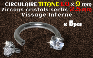 circulaire Titane 1.0x9 - zircons sertis 2.5 mm
