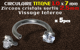 circulaire Titane 1.0x7 - zircons sertis 2.5 mm