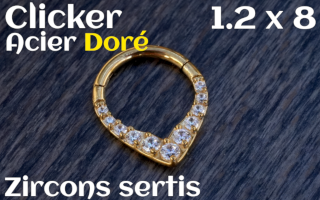 Clicker Acier dore zircon sertis 1.2 x 8