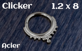 Clicker Acier 1.2 x 8