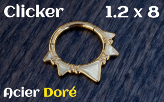 Clicker Acier dore 1.2 x 8