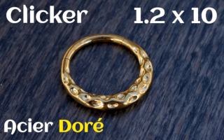 Clicker Acier Dore 1.2 x 10