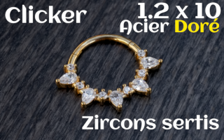 Clicker Acier Dore 1.2 x 10 zircon sertis