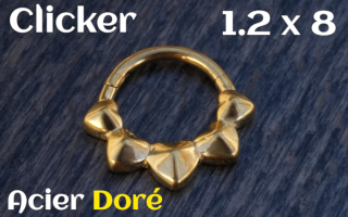 Clicker Acier Dore 1.2 x 8