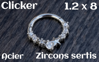 Clicker Acier 1.2 x 8 zircon sertis