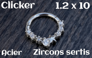 Clicker Acier 1.2 x 10 zircon sertis