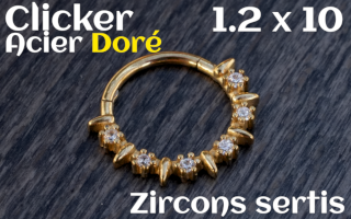 Clicker Acier dore 1.2 x 10 zircon sertis