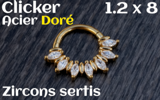 Clicker Acier dore 1.2 x 8 zircon sertis