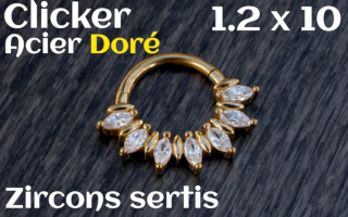 Clicker Acier dore 1.2 x 10 zircon sertis