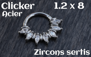 Clicker Acier 1.2 x 8 zircon sertis