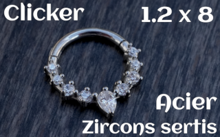 Clicker Acier 1.2 x 8 zircon sertis
