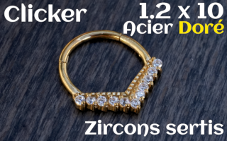 Clicker Acier dore 1.2 x 10 zircon sertis
