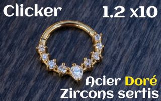 Clicker Acier dore 1.2 x 10 zircon sertis