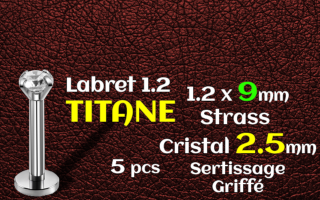 labret titane 1.2x9 - zircon cristal serti 2.5mm - vissage interne
