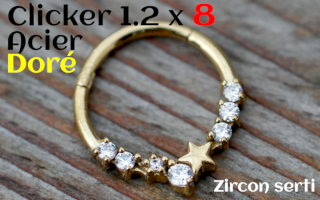 clicker 1.2x8 Acier dore zircon serti